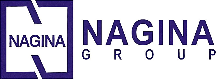 Nagina Group